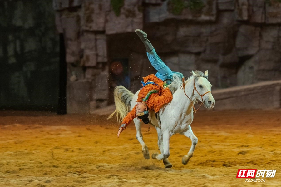 图片6.jpg 图片6.jpg