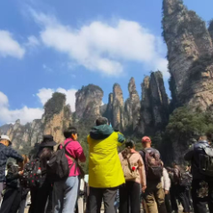 2026年春节假期张家界市武陵源区文旅：峰林龙腾马年旺 温情服务暖归途