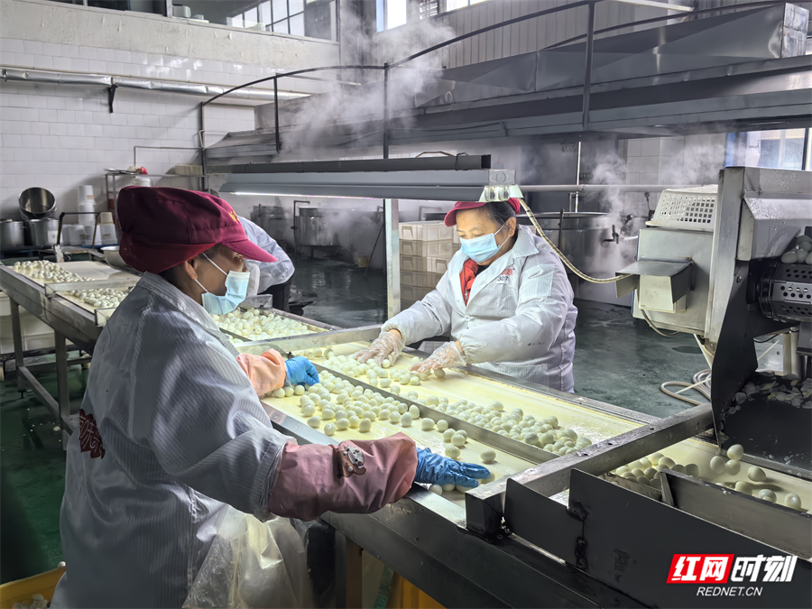 收心归位干劲足 奋楫扬帆启新程——张家界高新区复工复产跑出新春“加速度”