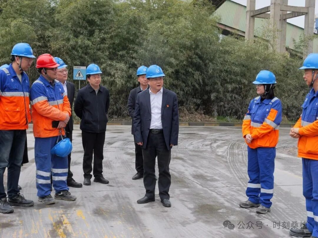 桑植:一马当先“攒劲”干 曹飞调研节后复工复产工作