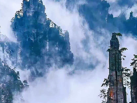 云雾漫峰林，张家界国家森林公园宛如水墨画卷