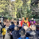 张家界国家森林公园春节假期旅游接待实现“开门红”