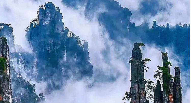 云雾漫峰林，张家界国家森林公园宛如水墨画卷