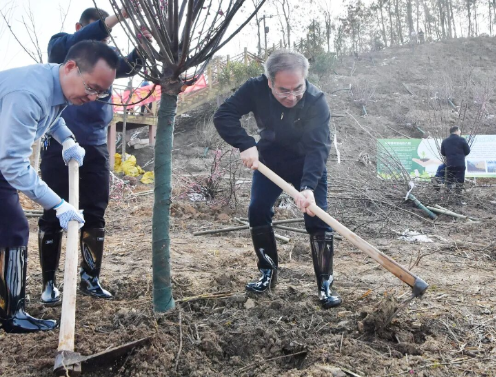 张家界市开展义务植树活动