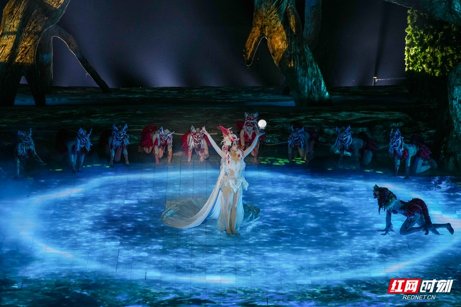 DSC06750_副本.jpg DSC06750_副本.jpg