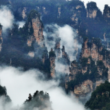 春雨润峰林 云海入画来 张家界十里画廊雨后现“阿凡达”仙境