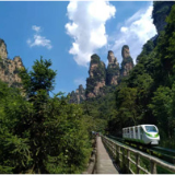 网络评论 |《阿凡达3》摘奖奥斯卡,张家界山水与科幻电影的双向奔赴