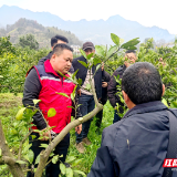慈利县柑橘种植专业户集中“充电”