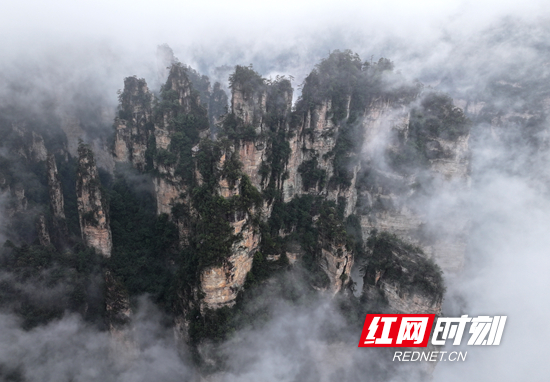 湖南张家界国家森林公园：雨后云雾缭绕峰林 宛如水墨仙境（组图）