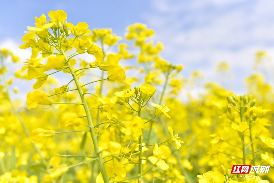 微信图片_20260304152717_552_4_副本.jpg 微信图片_20260304152717_552_4_副本.jpg