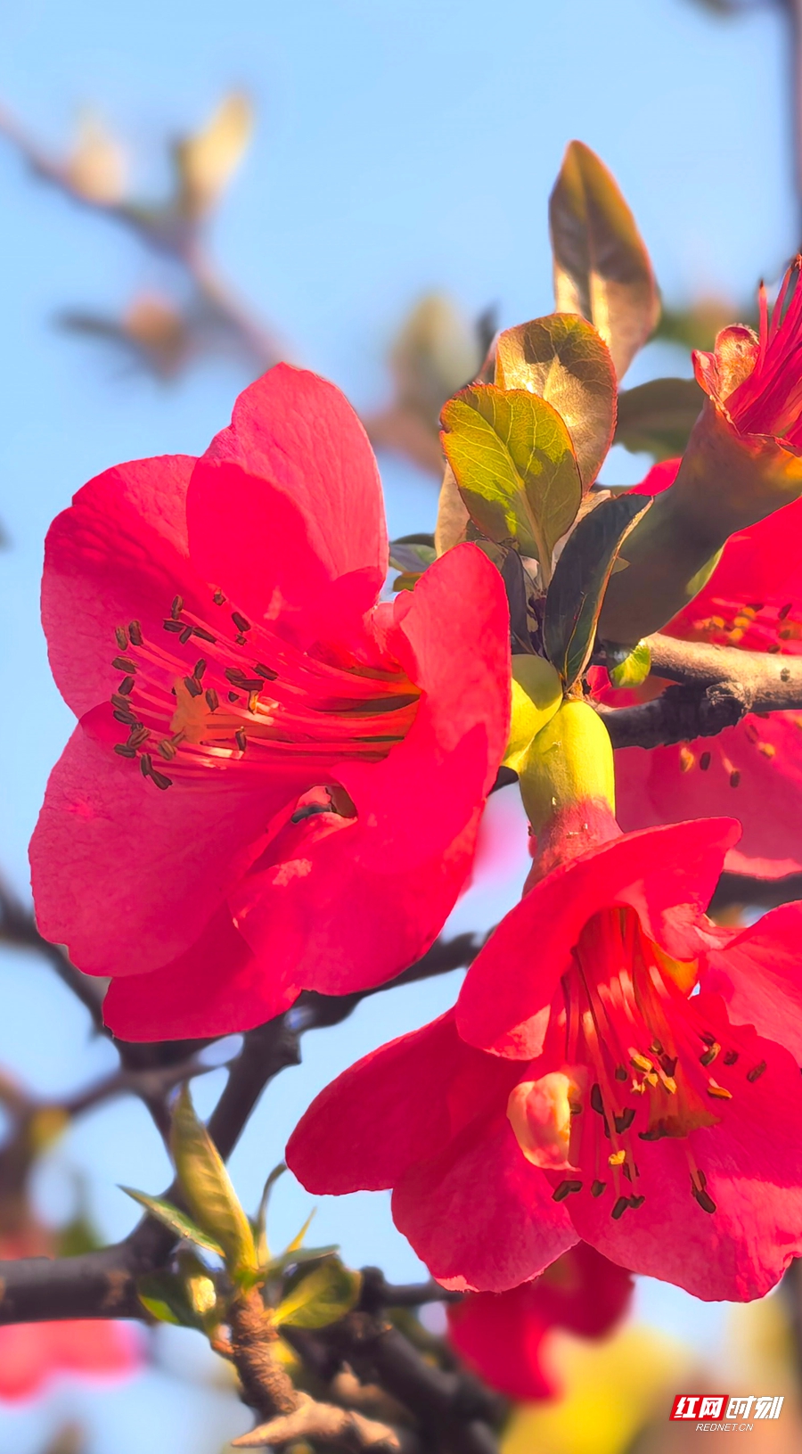 微信图片_20260304151859_544_4_副本.jpg 微信图片_20260304151859_544_4_副本.jpg