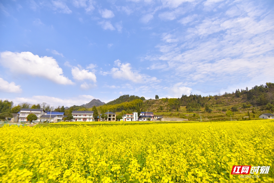 微信图片_20260304152714_550_4_副本.jpg 微信图片_20260304152714_550_4_副本.jpg