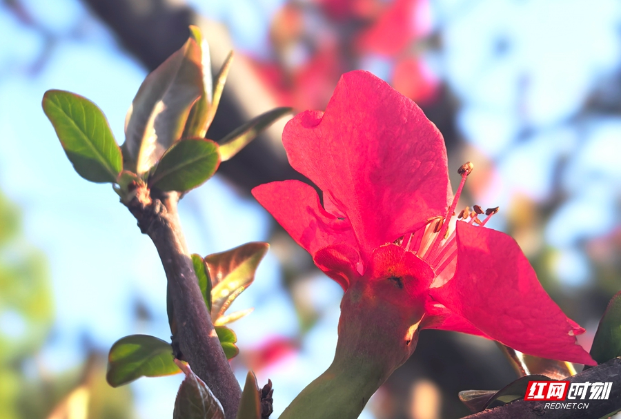 微信图片_20260304151859_543_4_副本.jpg 微信图片_20260304151859_543_4_副本.jpg