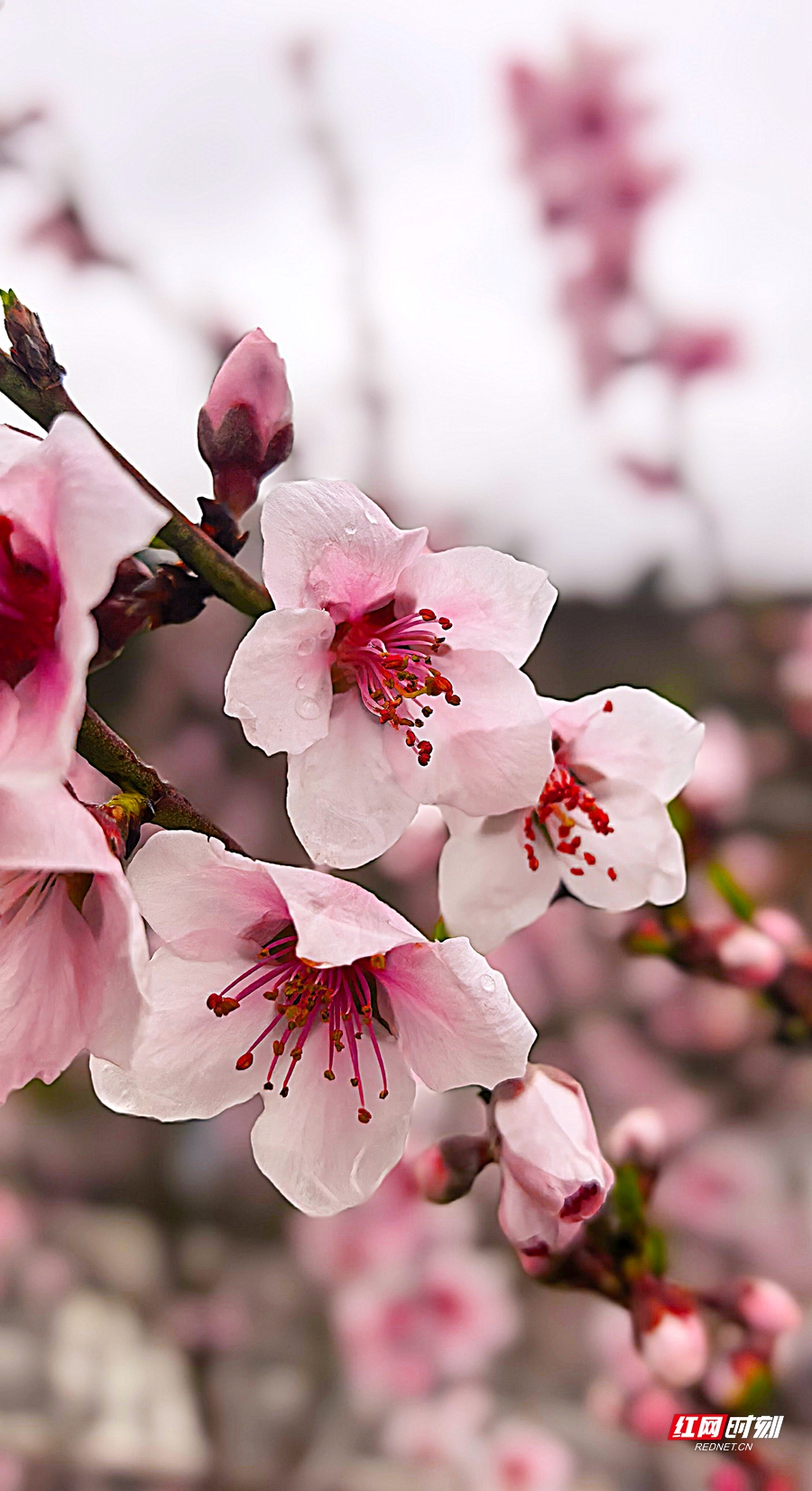 微信图片_20260304151902_548_4_副本.jpg 微信图片_20260304151902_548_4_副本.jpg