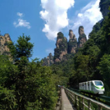 网络评论|以服务之暖,燃张家界春日文旅之火