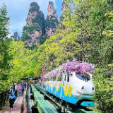 峰林藏趣，非遗传韵！张家界十里画廊观光电车五一焕新启航