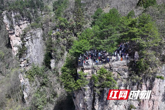 张家界国家森林公园:乐享清明假期(组图)