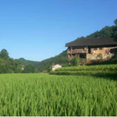 全省乡镇财政管理分片调研座谈会在张家界市桑植县召开