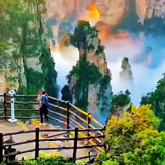 云蒸霞蔚映峰林，袁家界初夏云海美出圈