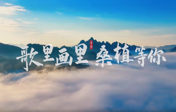 歌里画里 桑植等你——湖南宝藏小城桑植县邀您赴约