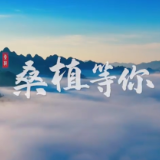 歌里画里 桑植等你——湖南宝藏小城桑植县邀您赴约