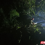慈利县：强降雨致树木挡道 基层干群连夜紧急处置