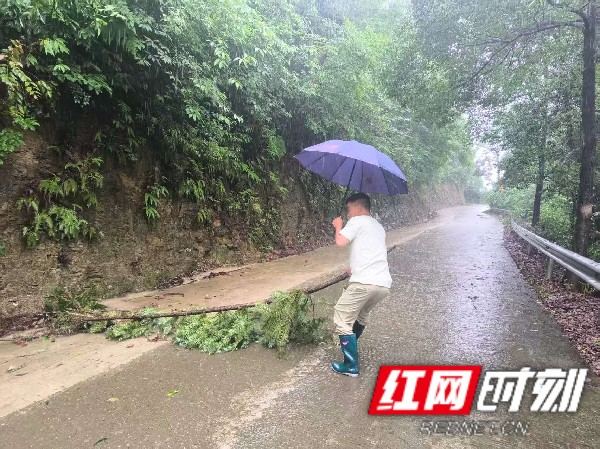 慈利县龙潭河镇:闻“汛”而动 筑牢“安全堤”
