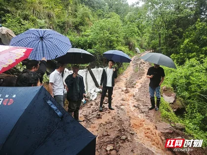 提前谋划筑防线 靠前指挥护安澜——桑植县走马坪白族乡织密防汛“安全网”