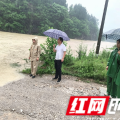 慈利县零阳街道万福村:闻“汛”而动守平安 党群同心筑防线