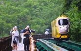 张家界国家森林公园：十里画廊雨中游 乐享中国旅游日（组图）