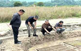 慈利“育秧经”引来永定“取经团”