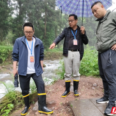 清风头条|武陵源区:铁纪护航 筑牢防汛“安全堤”
