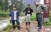 清风头条｜武陵源区：铁纪护航 筑牢防汛“安全堤”