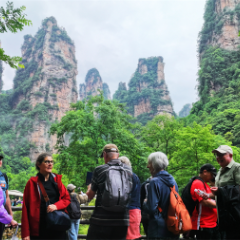 中国旅游日:全球游客打卡“仙境张家界”