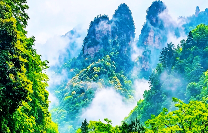 晴雨相间焕生机， 张家界十里画廊尽显山水灵秀