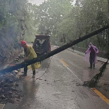闻“汛”而动 向险而行——张家界交通人风雨逆行保畅通