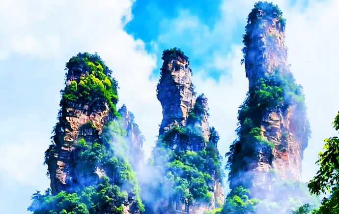 张家界：仲夏晨光染翠峰  亿年峰林绘就温情画卷