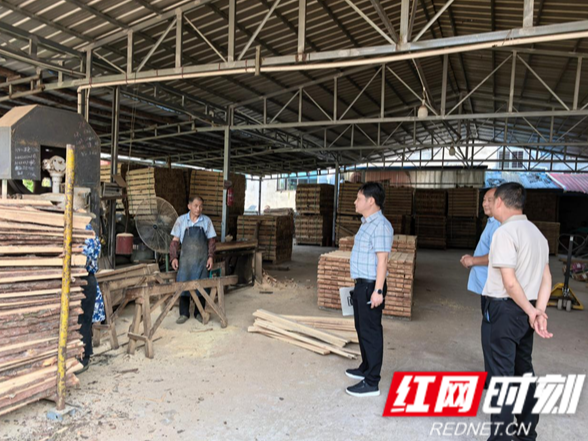 慈利县岩泊渡镇:从严开展松材疫木排查 筑牢林业生态安全屏障