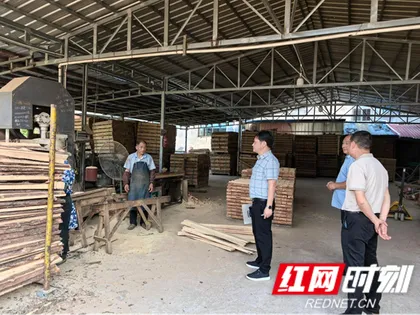 慈利县岩泊渡镇：从严开展松材疫木排查 筑牢林业生态安全屏障
