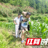 慈利县溪口镇天湖村：党群服务中心变身“清凉驿站”  田间救援彰显为民初心