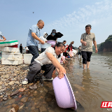 2026年张家界市天然水域水生生物增殖放流活动启动