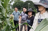 科技赋能提质 轮作种养增效 张家界小玉米串起乡村振兴大产业