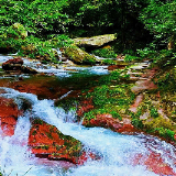 盛夏金鞭溪:奇峰伴清流 幽谷觅清凉