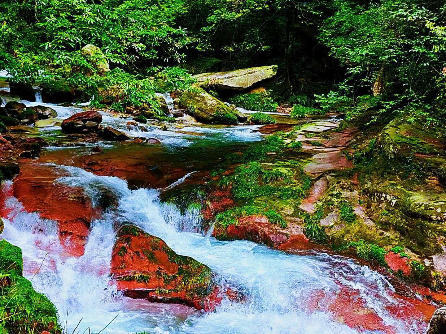 盛夏金鞭溪：奇峰伴清流 幽谷觅清凉