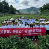 千亩茶垄间的青春足迹 吉首大学旅规学院学子开展劳动教育实践