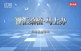 智汇桑植·马上办｜桑植城管局：“路面空鼓”“占道经营”民生无小事 108条建议件件有回音