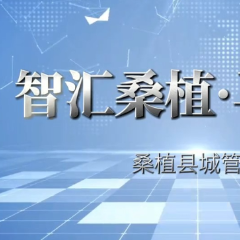 智汇桑植·马上办|桑植城管局:“路面空鼓”“占道经营”民生无小事 108条建议件件有回音