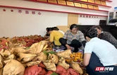 田间研习破题 青春赋能振兴——桑植县选调生“澧源青行”实践团赴陈家河镇格溪村开展实践调研