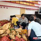 田间研习破题 青春赋能振兴——桑植县选调生“澧源青行”实践团赴陈家河镇格溪村开展实践调研