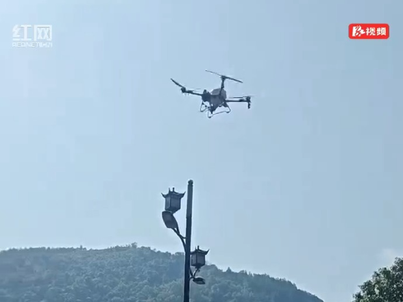 无人机全域消杀!武陵源区抓实蚊媒防控 守护市民游客健康